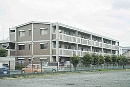 シャトレー上落合 303