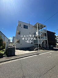 リブリ・プモリII 307