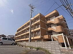 スプリングハイツ5 301