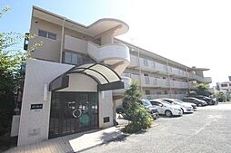 メゾンアムール