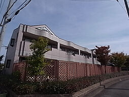 マウントック・レオ