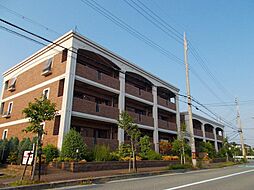 プラムガーデン