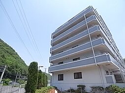 シルフィードドゥ唐櫃