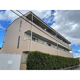 アンプルール フェール フリージア