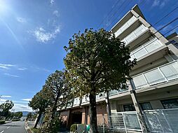 ボヌールソシア