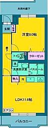 グリーングラスN 217