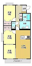 シェルコート 101