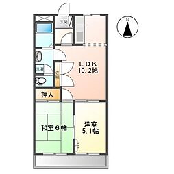 ロイヤル花水木
