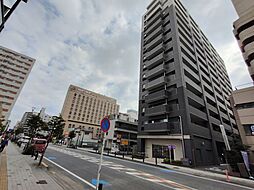 ベルドゥムール本厚木