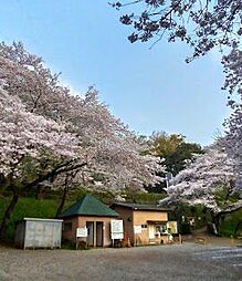 伊勢原市東富岡（店舗兼住宅）