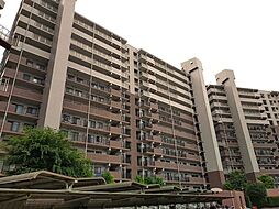 エステ・スクエア本厚木参番館　11階