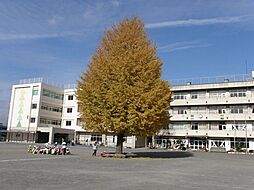 海老名市望地2丁目