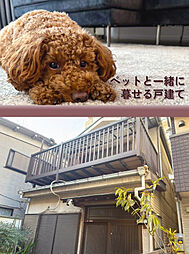 四つ木2丁目戸建て