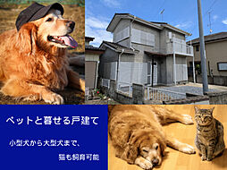 かすみがうら牛渡戸建て