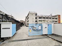 ディオフェルティ枚岡