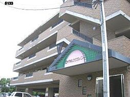 ロイヤル・サクラメント 307 号室