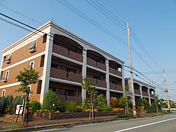 プラムガーデン