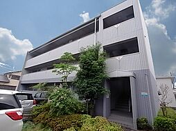 ヴェルドミール ステラ