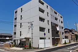 ファレノプシス