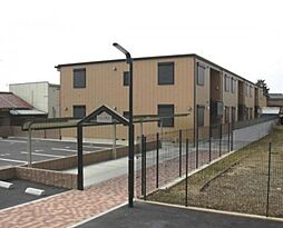 パイン ハイアット