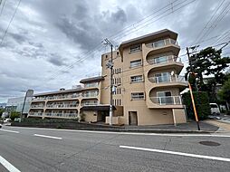 スターハイツ住吉川