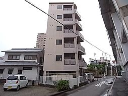 サニーグリーン