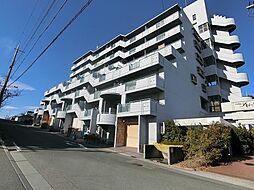 ハイムアゼーリア