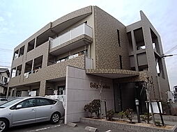 ソル・イ・ソンブラ