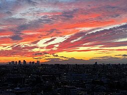 クレヴィアタワー大井町THE RESIDENCE 1505