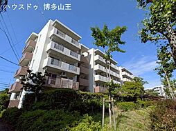 十郎川サンハイツ17