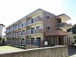 クラシカル・ヒル・ハーモニー