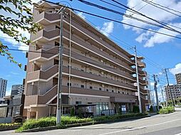 アルカディアコート