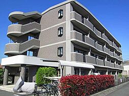 グロ−ス・バウム 106