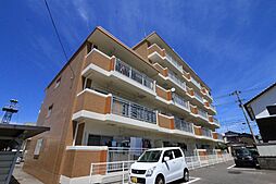 Espoir MATSUMIKO 105