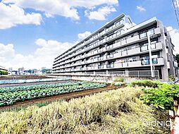 アーベイン朝霞リーデンス