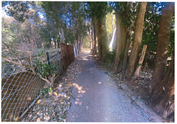 鎌ヶ谷市中沢　売地