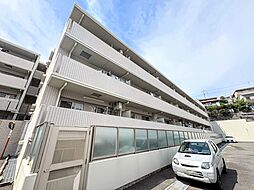 アデニウム菊名