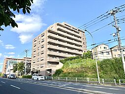 ルピナス四季の森公園