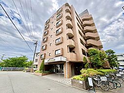 ダイアパレス元住吉