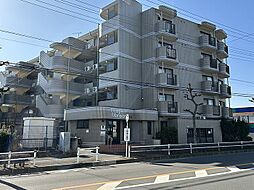 ビーグルマンション東大和