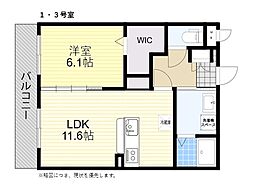 ZEUS日出 203