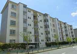 オーダーハウス　自分好みのお部屋に　船橋グリーンハイツ 3階