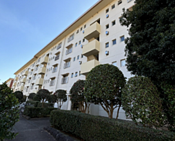 お好きな部屋にオーダーメイド　芝山団地　１９号棟