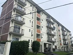 みつわ台3丁目住宅1−9棟 504