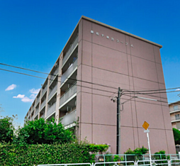 藤和千草台コープA棟 208