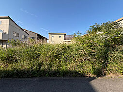 東大池3　建築条件なし売土地