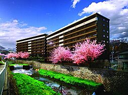 エージングコート有馬 116