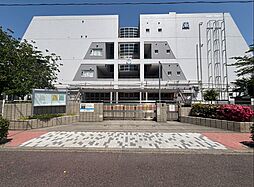 道路6m「六月Newhouse」