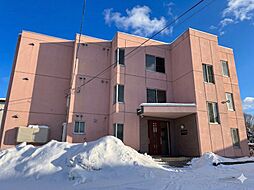 N・スターヒルズマンション 202