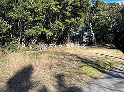 大字布土字中平井　売土地